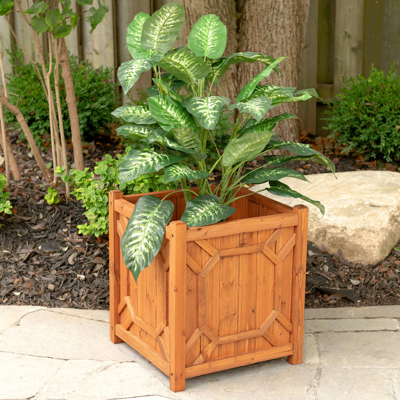 Leisure Season Decorative Planters Cypress Planter Box Wayfair